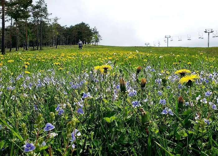 公寓 Enjoy Divčibare