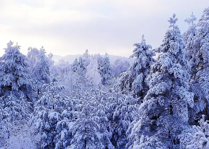 Enjoy 公寓 Divčibare